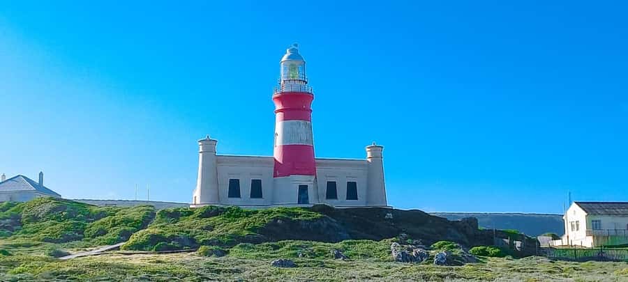 Cape Agulhas Full Day Private Tour - What to bring and who should skip it