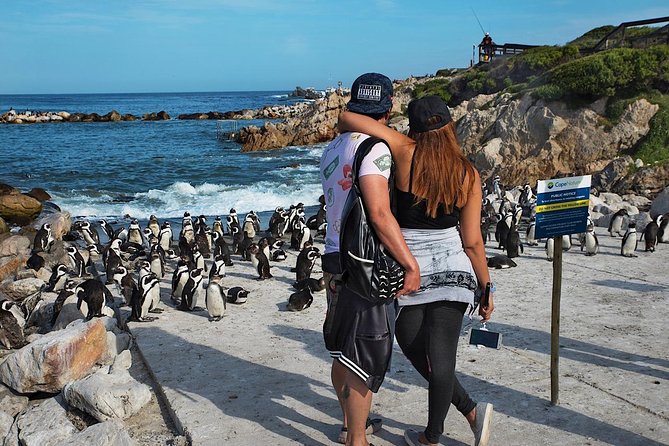 Cape Agulhas Full Day Private Tour from Cape Town - Stony Point brings the wildlife close