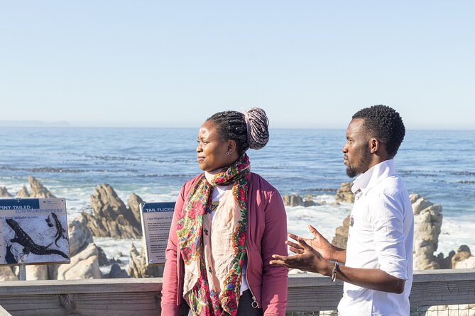 Cape Agulhas Full Day tour - Hermanus, whales, and your lunch break