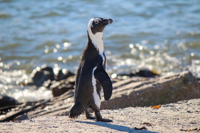 Cape Agulhas Full Day tour - Elim and its quiet Moravian streets