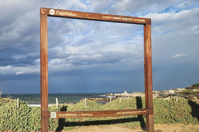 Cape Agulhas, Hermanus Whale Watching, Penguins and Wine Tasting - Stony Point brings penguins close to shore