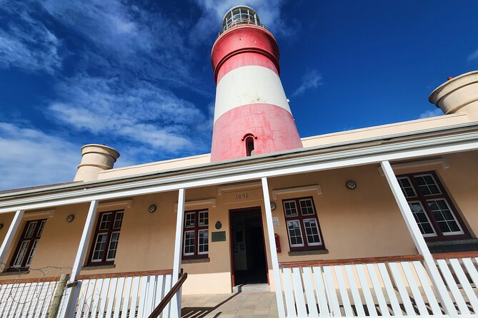 Cape Agulhas, Hermanus Whale Watching, Penguins and Wine Tasting - Clarence Drive makes the return memorable