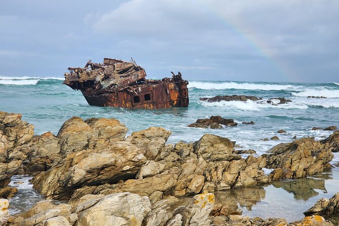 Cape Agulhas, Hermanus Whale Watching, Penguins and Wine Tasting - What the $193.71 price really covers