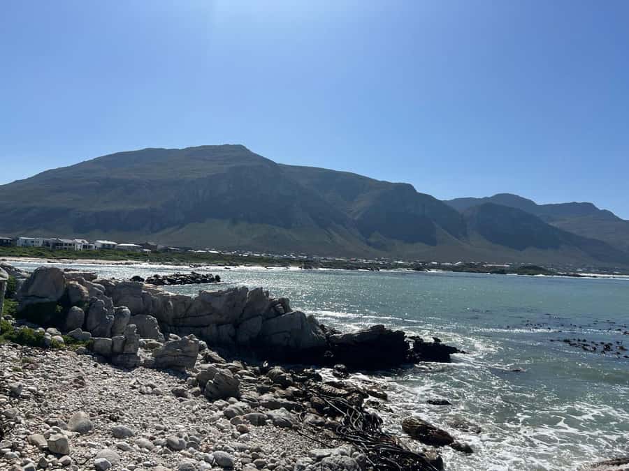 Cape Agulhas, Hermanus whales & Wine Tasting Day Trip - Is $264 a fair price?