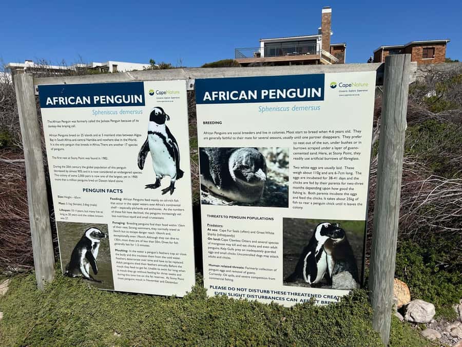 Cape Agulhas, Hermanus whales & Wine Tasting Day Trip - Cape Agulhas and the meeting of two oceans