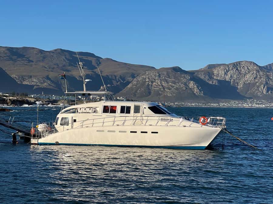 Cape Agulhas, Hermanus whales & Wine Tasting Day Trip - The guide makes a real difference