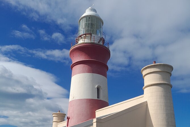 Cape Agulhas Southern Point of Africa Private Tour - Five things to know before booking