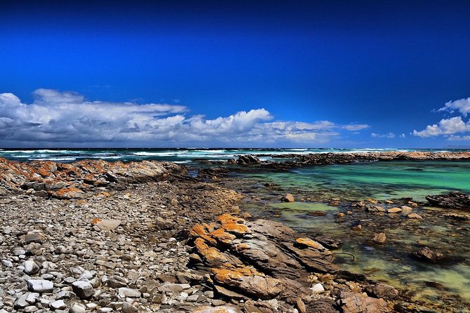 Cape Agulhas | Stony Point Nature Reserve - Cape Agulhas, Africa’s southernmost point