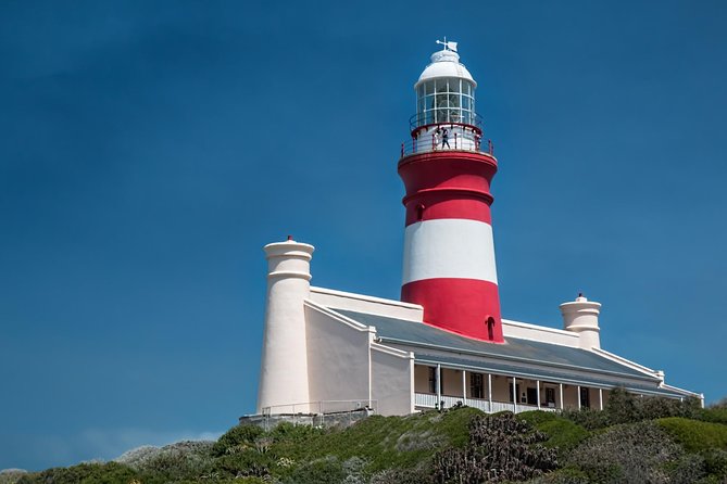 Cape Agulhas | Stony Point Nature Reserve - The return through Hermanus and Clarence Drive