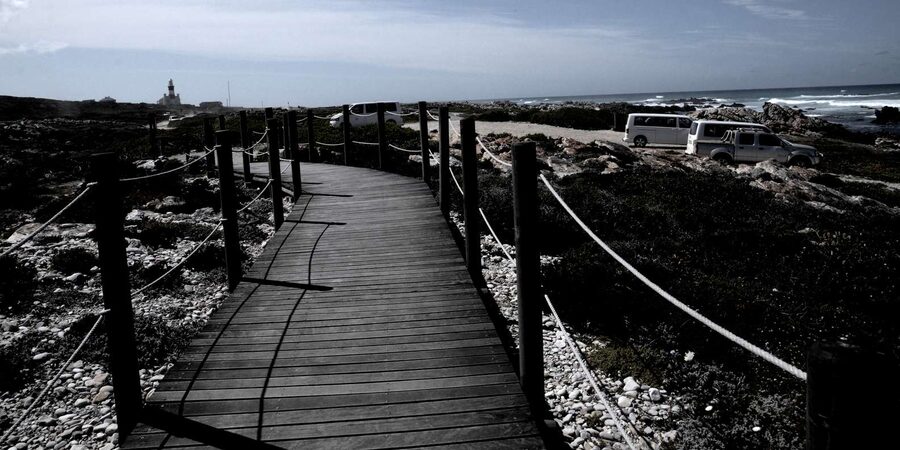 Cape Agulhas Tour from Cape Town - Should you book the Cape Agulhas tour?