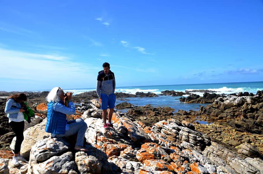 Cape Agulhas Tour from Cape Town - Citrus orchards and a farm stand near Caledon