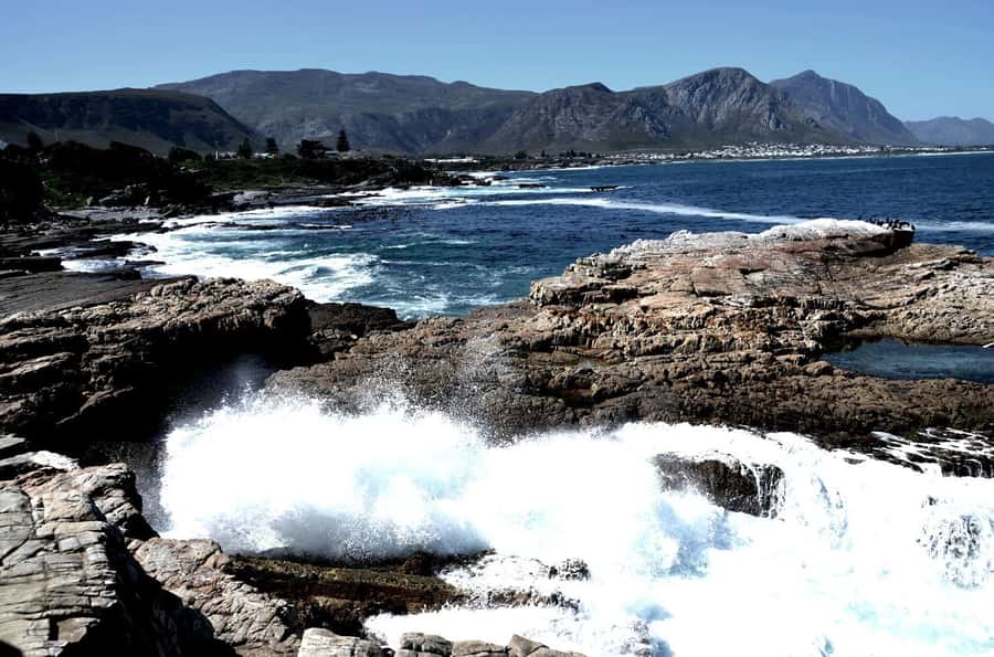 Cape Agulhas Tour from Cape Town - Cape Agulhas and the meeting of two oceans
