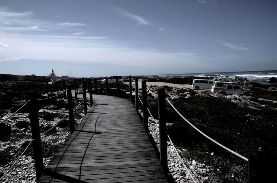 Cape Agulhas Tour from Cape Town - Lunch, timing, and the real cost of the day
