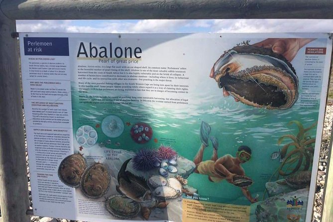 Cape Agulhas,, Where the 2 oceans meet - Why Cape Agulhas makes a worthwhile day trip
