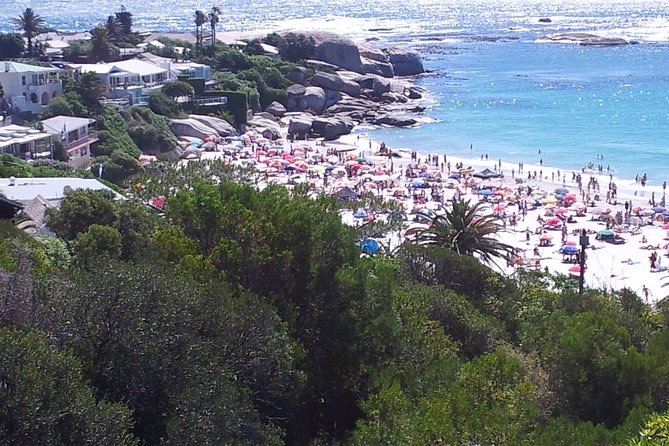 Cape of Good Hope and Cape Winelands Day Tour from Cape Town - One long day, two very different Cape Town experiences