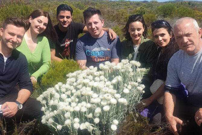 Cape of Good Hope and Cape Winelands Day Tour from Cape Town - Stellenbosch: wine estates or shopping in town