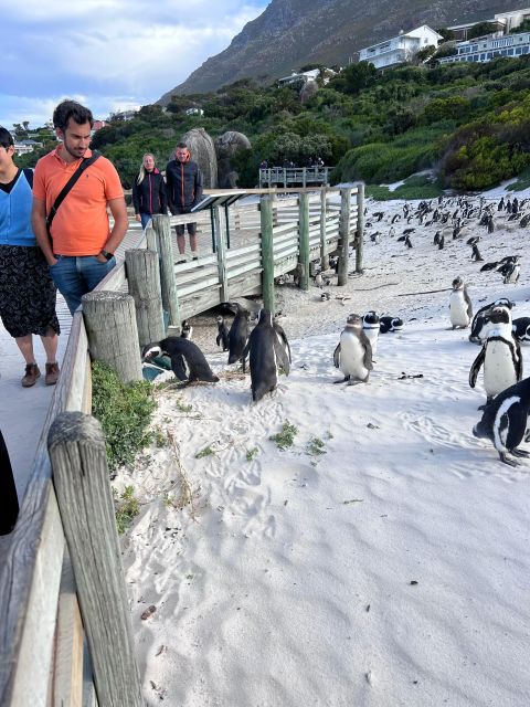 Cape of Good Hope and Penguins Full-Day Private Tour - Lunch in Simon’s Town