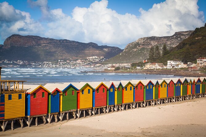 Cape Of Good Hope and Penguins Full Day Small Group Tour from Cape Town - An early start through Cape Town and Bo-Kaap