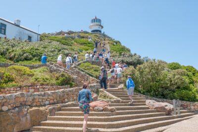 Cape Of Good Hope and Penguins Full Day Small Group Tour from Cape Town