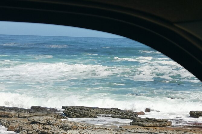 Cape of Good Hope and Penguins Full-Day Tour from Cape Town - Cape Point Nature Reserve gives the day its wild edge