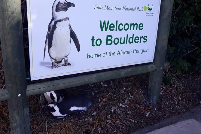 Cape of Good Hope and Penguins - Small Group - Full day - Cape Point deserves the two-hour block