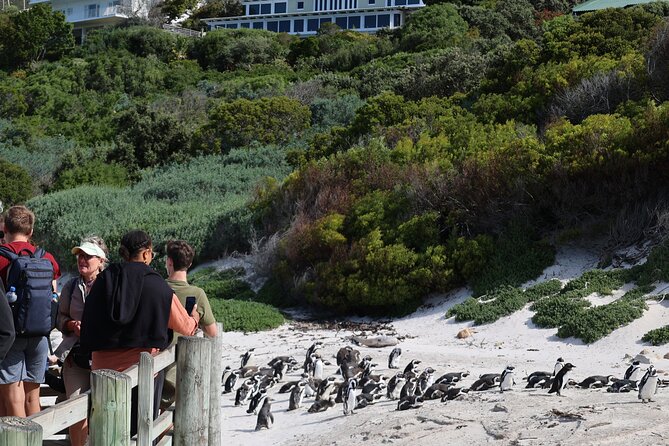 Cape Of Good Hope and Table Mountain Day Trip from Cape Town parks fees include - Boyes Drive shows you a different side of False Bay