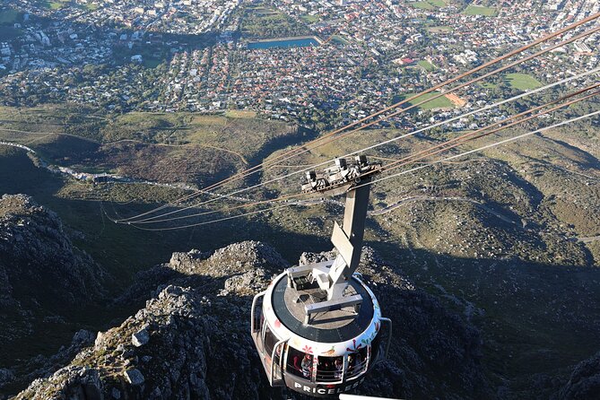 Cape Of Good Hope and Table Mountain Day Trip from Cape Town parks fees include - Chapman’s Peak Drive brings the road into the picture
