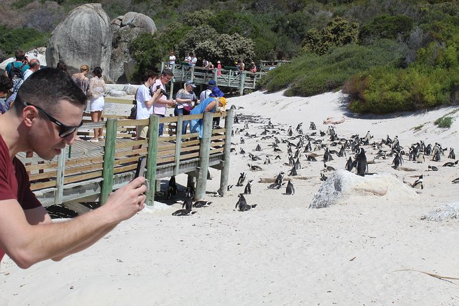 Cape Of Good Hope Bo-Kaap Penguins Full Day tour From Cape Town - Why this Cape Town day tour works