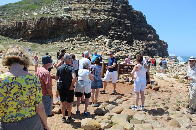 Cape Of Good Hope Bo-Kaap Penguins Full Day tour From Cape Town - Meeting the penguins at Boulders Beach