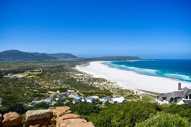 Cape of Good Hope & Boulder Penguins Full-Day Tour from Cape Town - The ostrich farm and Cape Point Nature Reserve