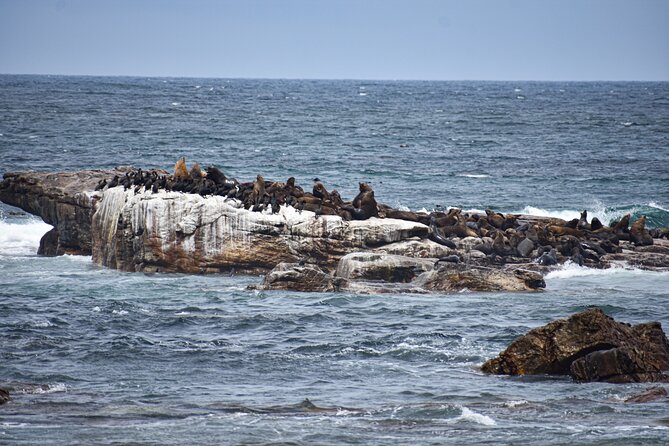 Cape of Good Hope & Boulder Penguins Full-Day Tour from Cape Town - Bo-Kaap, Bantry Bay, and Camps Bay before the coast