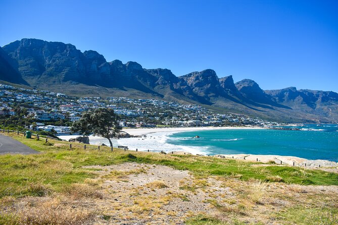 Cape of Good Hope & Boulders Beach Private Tour (Including Lunch) - The ostrich farm is a quick roadside encounter