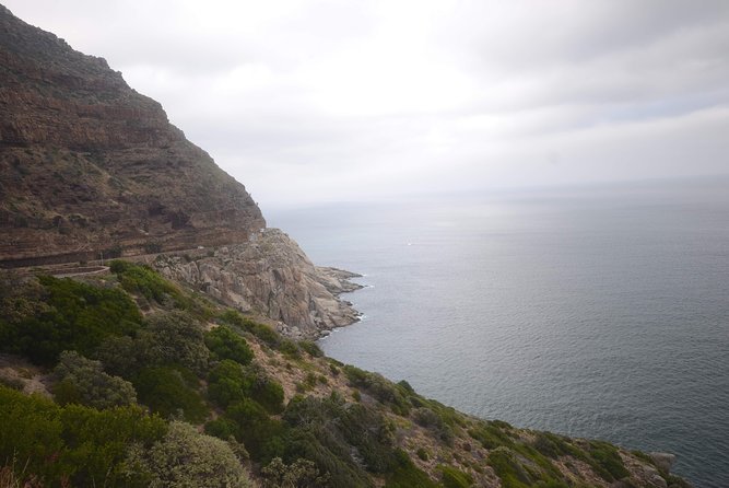 Cape of Good Hope & Boulders Beach Private Tour (Including Lunch) - Hout Bay gives you a choice: seals, crafts, or the beach