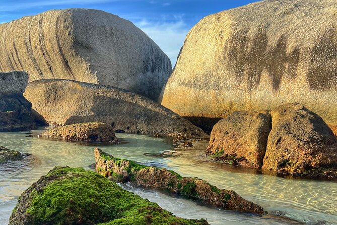 Cape of Good Hope Cape Point for groups - Why this private Cape Peninsula day works