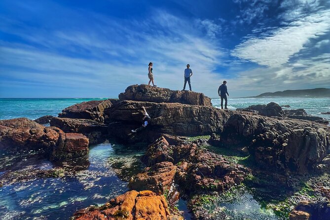 Cape of Good Hope Cape Point for groups - Llandudno Beach and Camps Bay: quick coastal introductions