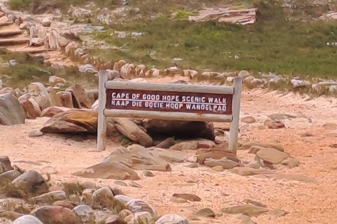 Cape of Good Hope-Cape Point & Penguins from Cape Town - Hout Bay: choose between seals and shopping