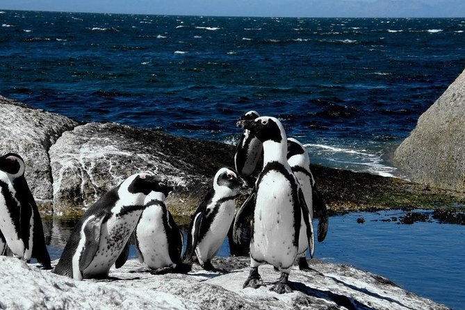 Cape of Good Hope, Cape Point & Penguins Private Afternoon Tour - Kommetjie and Scarborough show a quieter peninsula