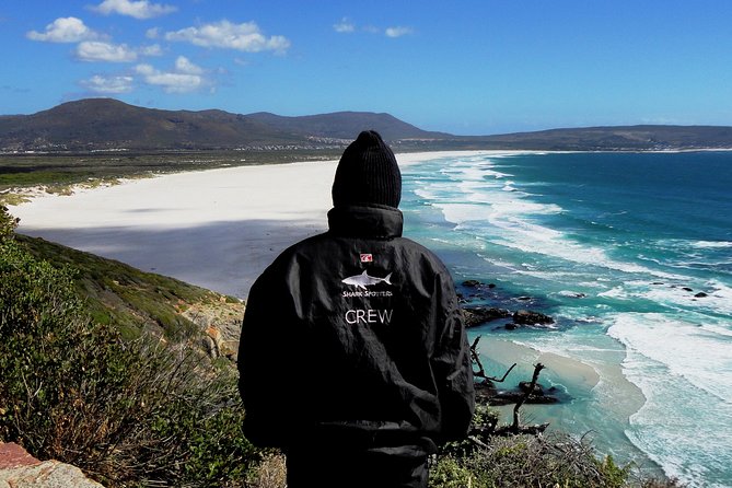Cape of Good Hope, Cape Point & Penguins Private Afternoon Tour - Cape Point Nature Reserve brings wildlife and wide views