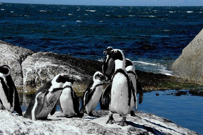 Cape of Good Hope, Cape Point & Penguins Private customizable Full Day Tour - Cape of Good Hope and the southwestern tip