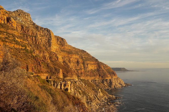 Cape of Good Hope, Cape Point & Penguins Private customizable Full Day Tour - Boulders Beach and the African penguins