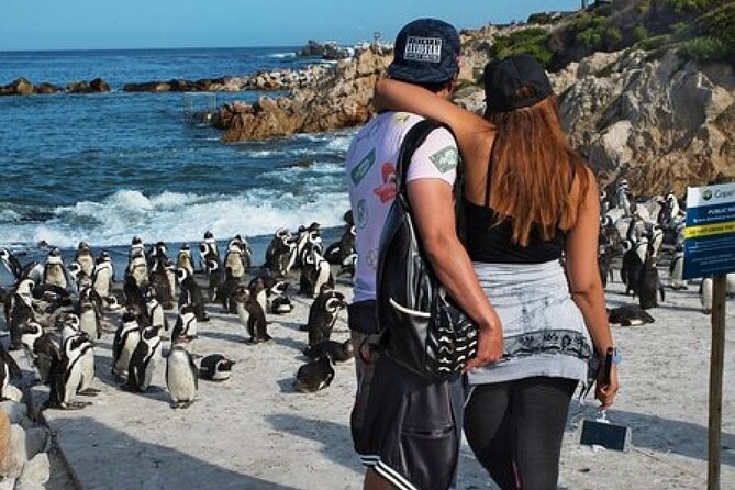 Cape of Good Hope-Cape Point - Penguins Private Tour Cape Town - Boulders Beach and the African penguin colony