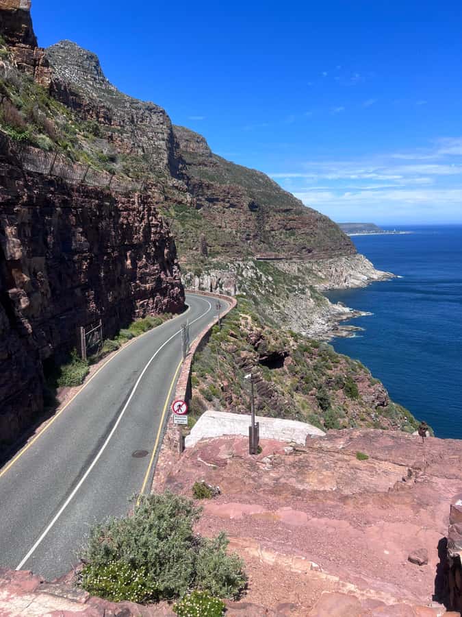 Cape of Good Hope, Chapman's Peak Drive, Penguins , Seals - Maiden’s Cove gives you an easy first viewpoint