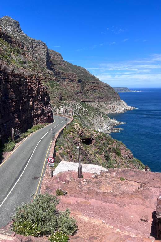 Cape of Good Hope, Chapman's Peak Drive, Penguins , Seals - Hout Bay offers an optional seal boat trip