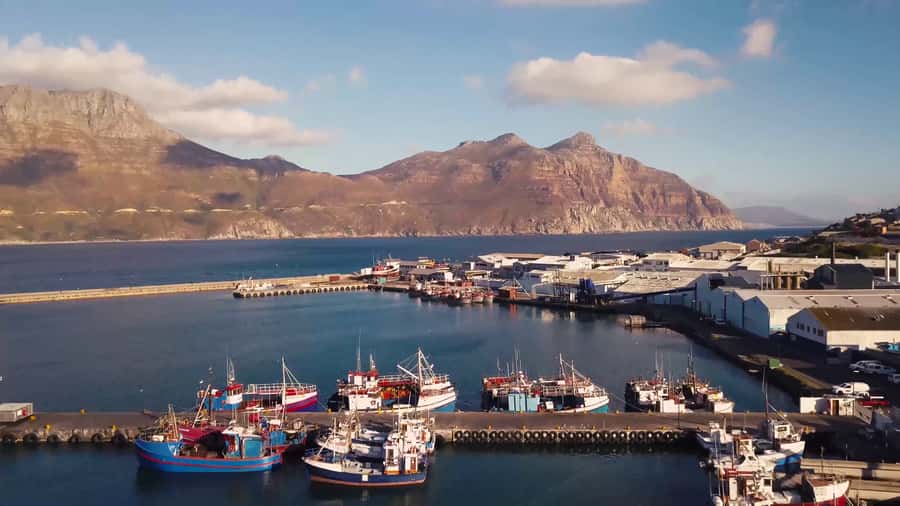 Cape of Good Hope Full-Day Private Tour - Hout Bay and the optional Seal Island cruise