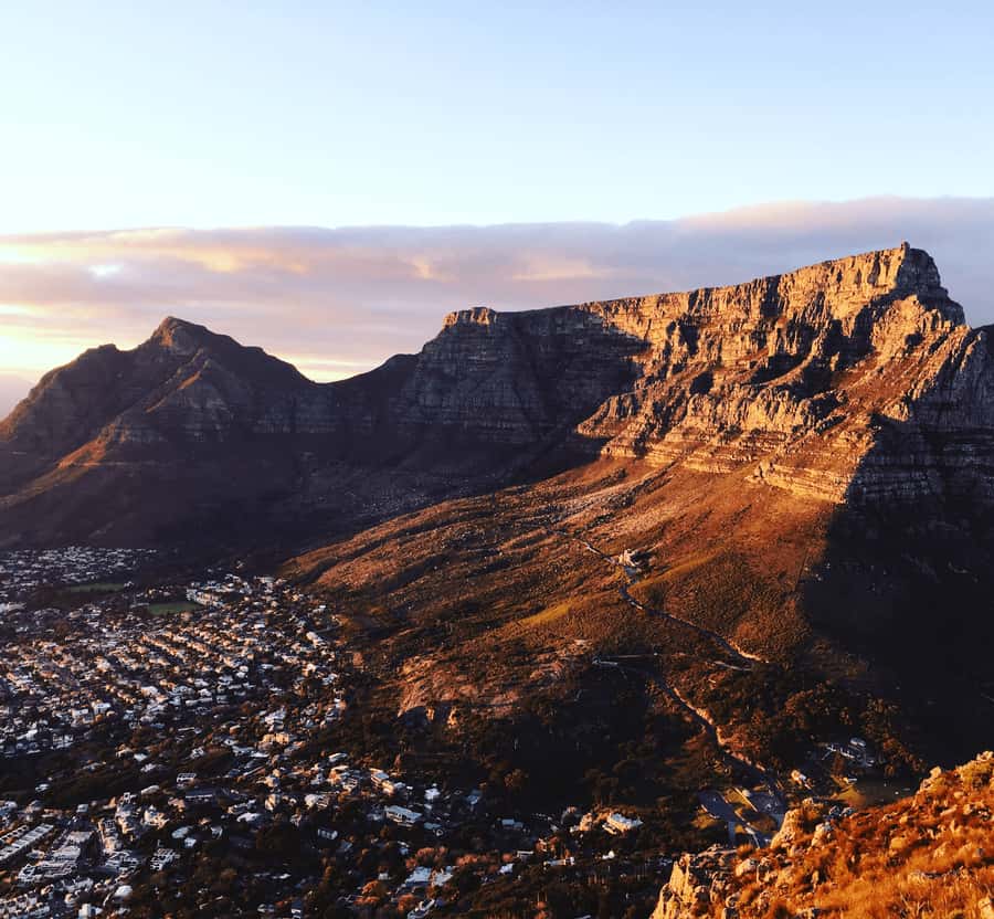 Cape of Good Hope Full-Day Private Tour - Boulders Beach and the penguin colony