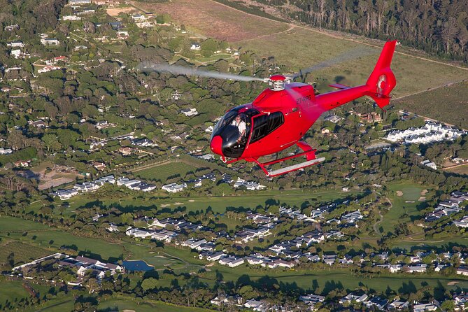 Cape of Good Hope Helicopter Private Tour with Stellenbosch Wine Tasting & Lunch - Delaire Graff for Views, Wine, and Lunch