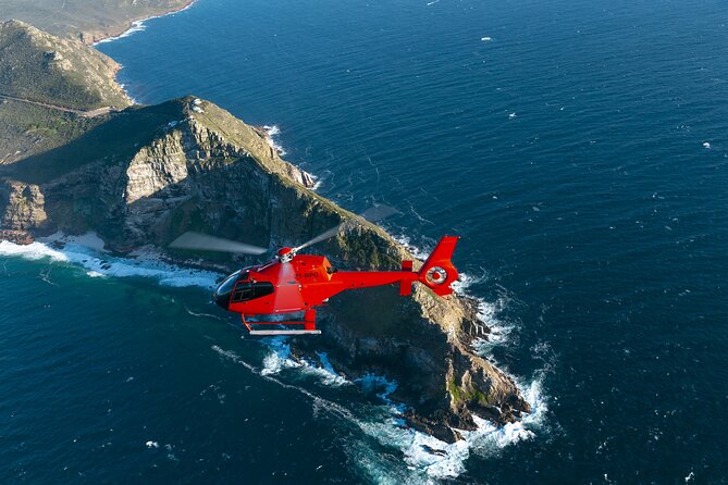 Cape of Good Hope Helicopter Private Tour with Stellenbosch Wine Tasting & Lunch - What to Know About the Wildlife Portion