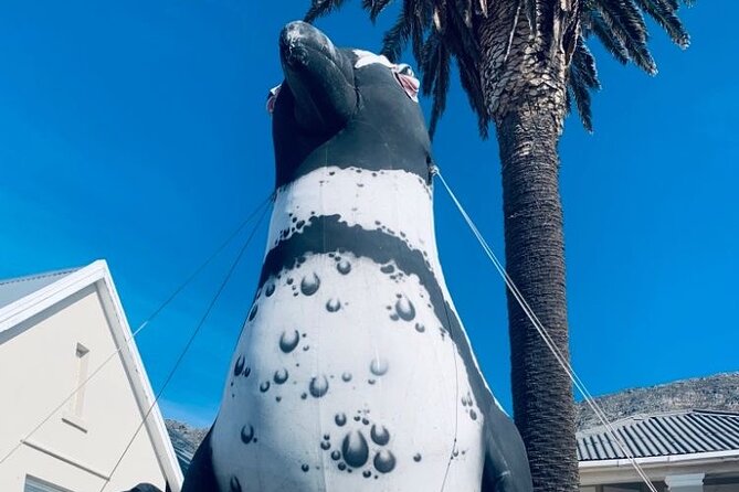 Cape of Good hope,penguin Beach, Table Mountain, Campsbay - Cape of Good Hope: the bucket-list stop