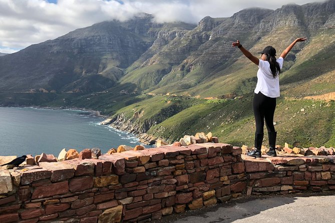 Cape of Good Hope-Penguin-Private Tour Combined With Wine Tasting Full Day Tour - Why the private format matters on this Cape Peninsula route