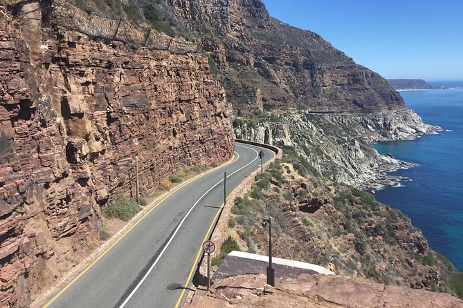 Cape of Good Hope-Penguin-Private Tour Combined With Wine Tasting Full Day Tour - Hout Bay and the optional Seal Island boat